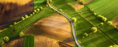 Сельское хозяйство и ирригация